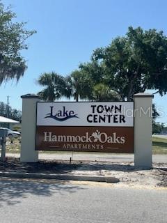 3711 LAKE CENTER DR, MOUNT DORA, FL — photo 3