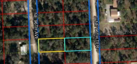 TBD NE 96TH TER, BRONSON, FL