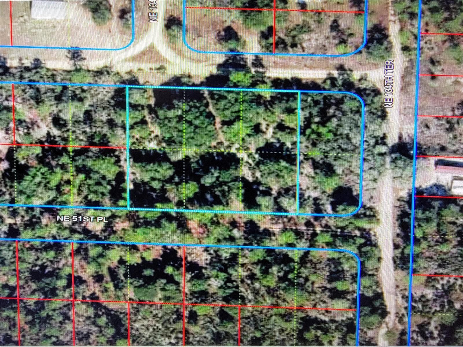 0 NE 52ND ST, WILLISTON, FL — photo 2