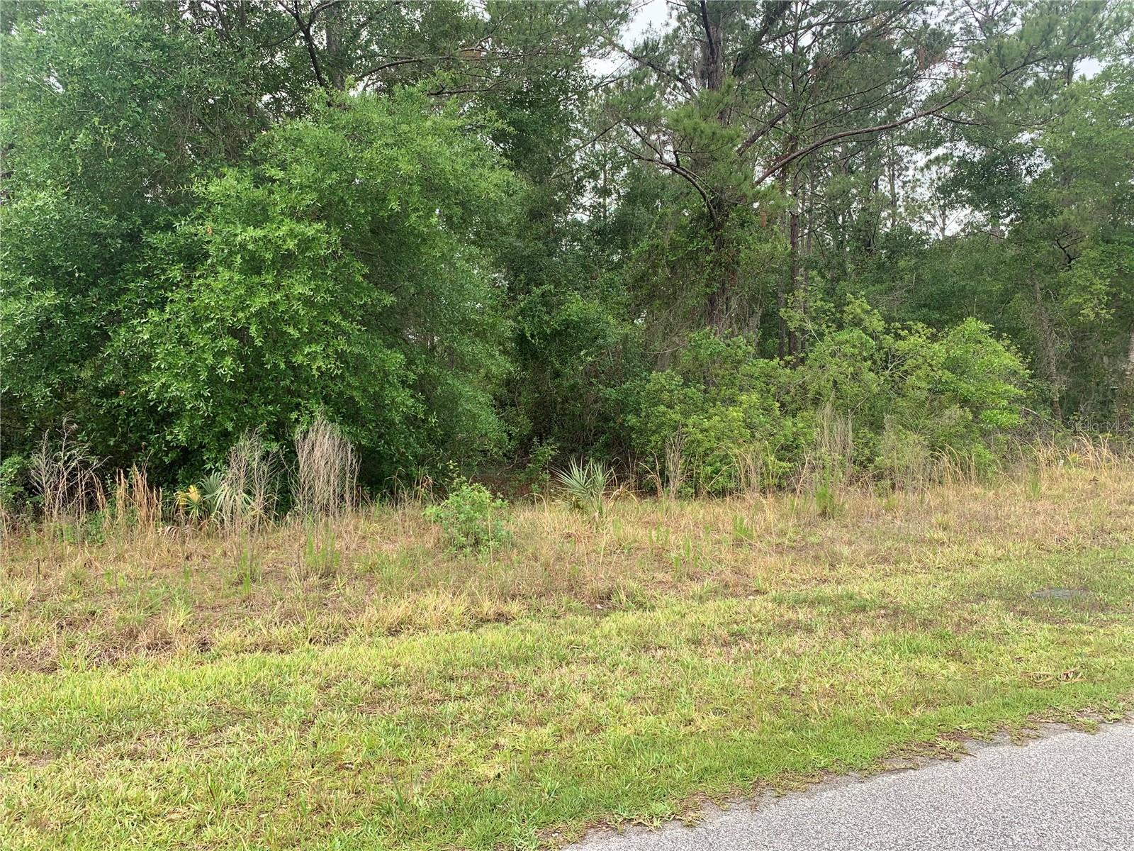 525 LIVE OAK LOOP, CRESCENT CITY, FL