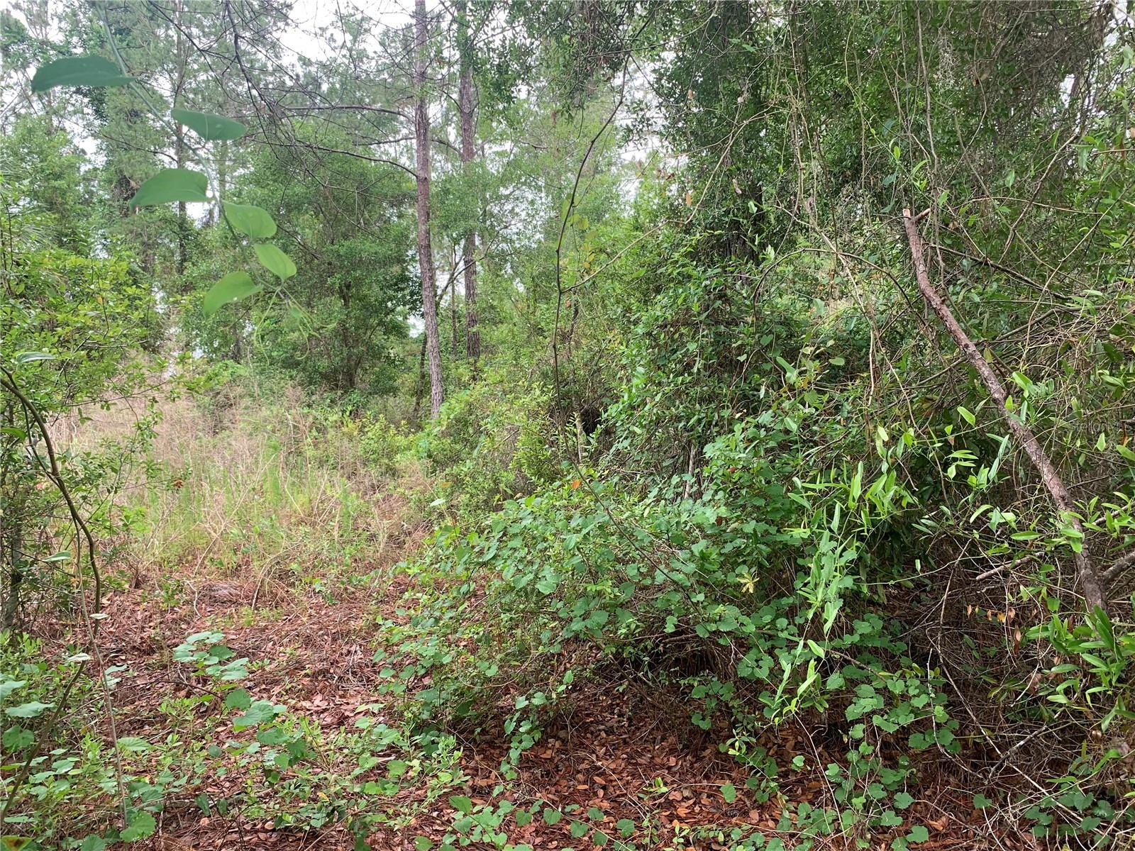 525 LIVE OAK LOOP, CRESCENT CITY, FL — photo 4
