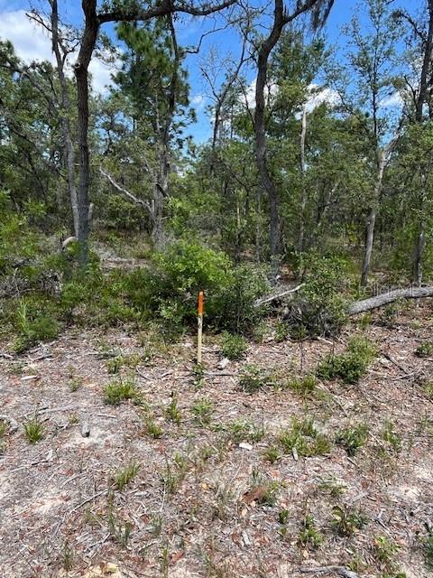 TBD SW 57TH AVE #46 & 47, INTERLACHEN, FL