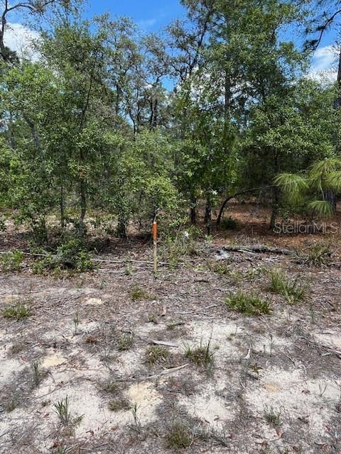 TBD SW 57TH AVE #46 & 47, INTERLACHEN, FL — photo 2
