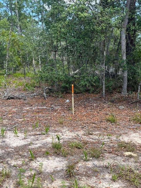 TBD SW 57TH AVE #48 & 49, INTERLACHEN, FL — photo 2