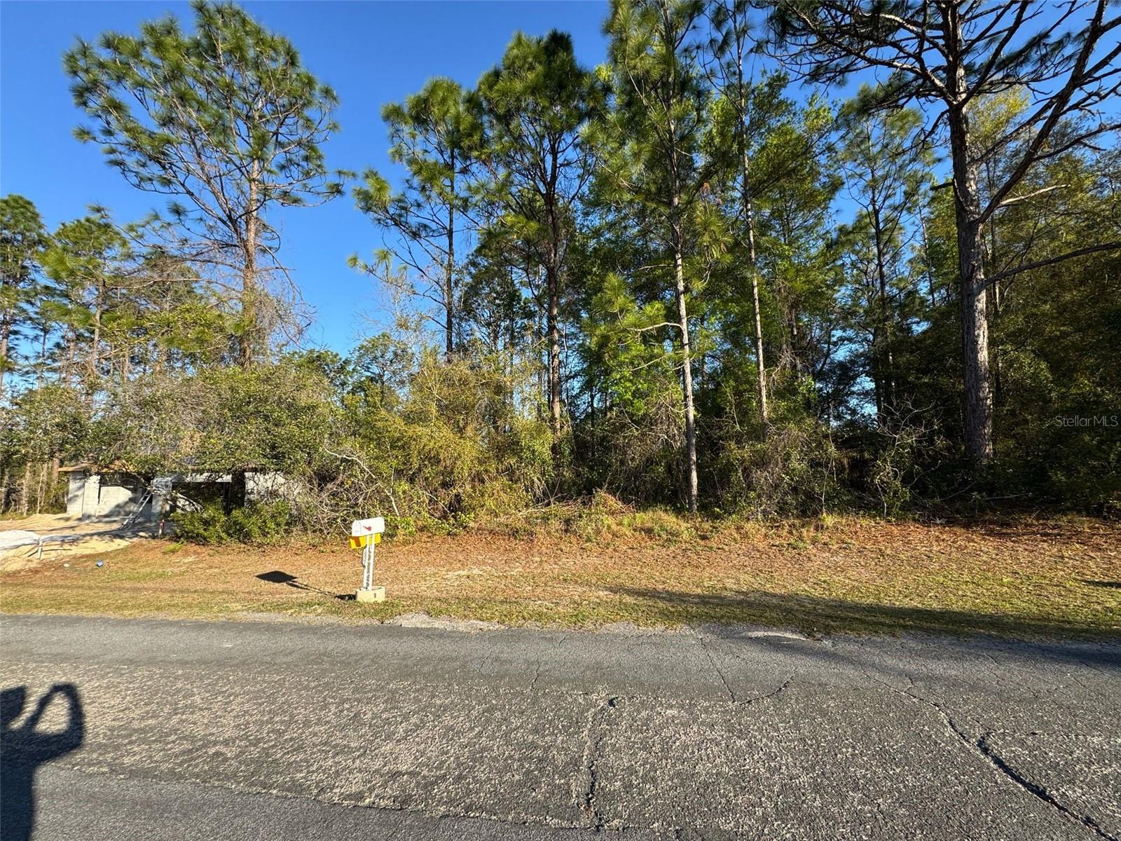 7890 N POCONO DR, CITRUS SPRINGS, FL