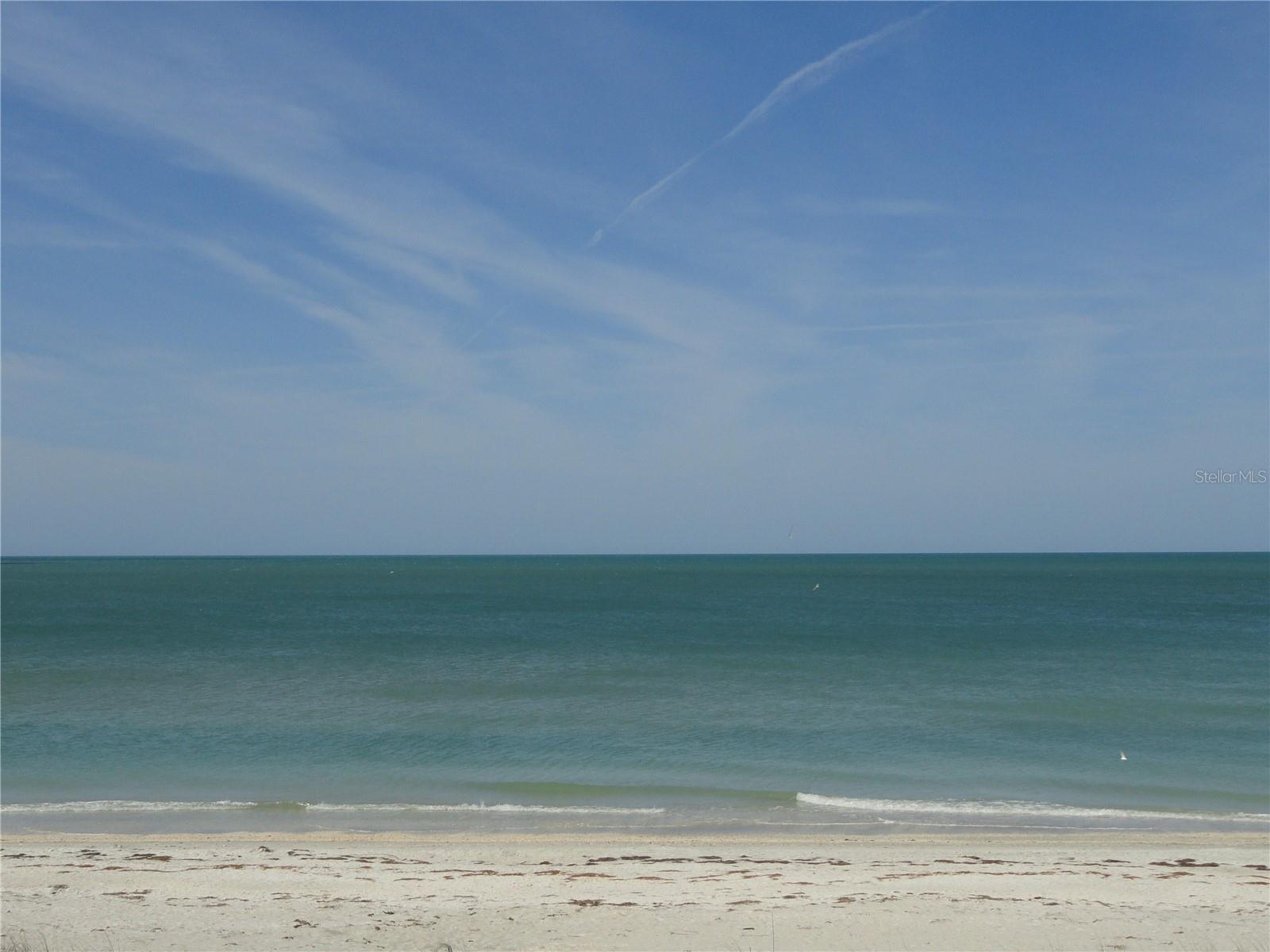 3100 GULF BLVD #221, BELLEAIR BEACH, FL