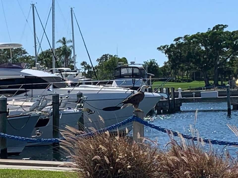 2600 HARBOURSIDE DR #O-11, LONGBOAT KEY, FL — photo 9