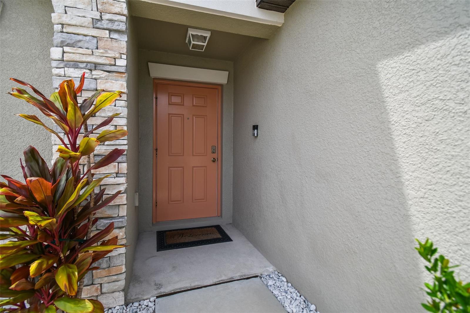 13603 WILD GINGER ST, RIVERVIEW, FL — photo 3