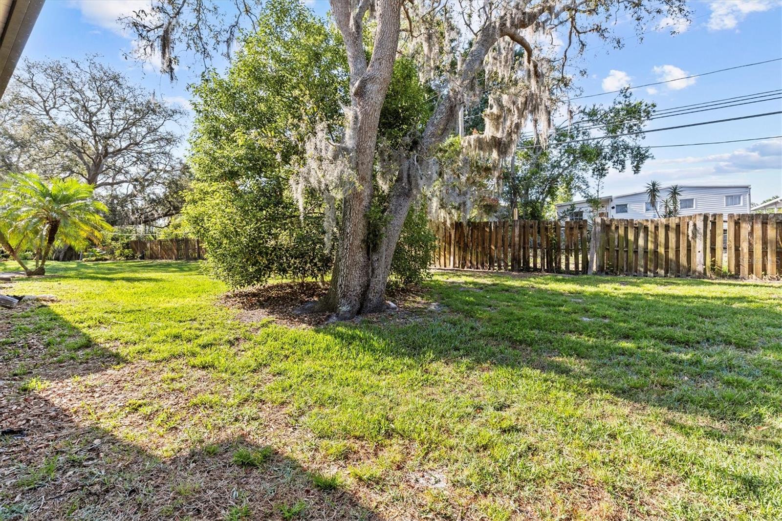 39650 US HIGHWAY 19 N #553, TARPON SPRINGS, FL — photo 29
