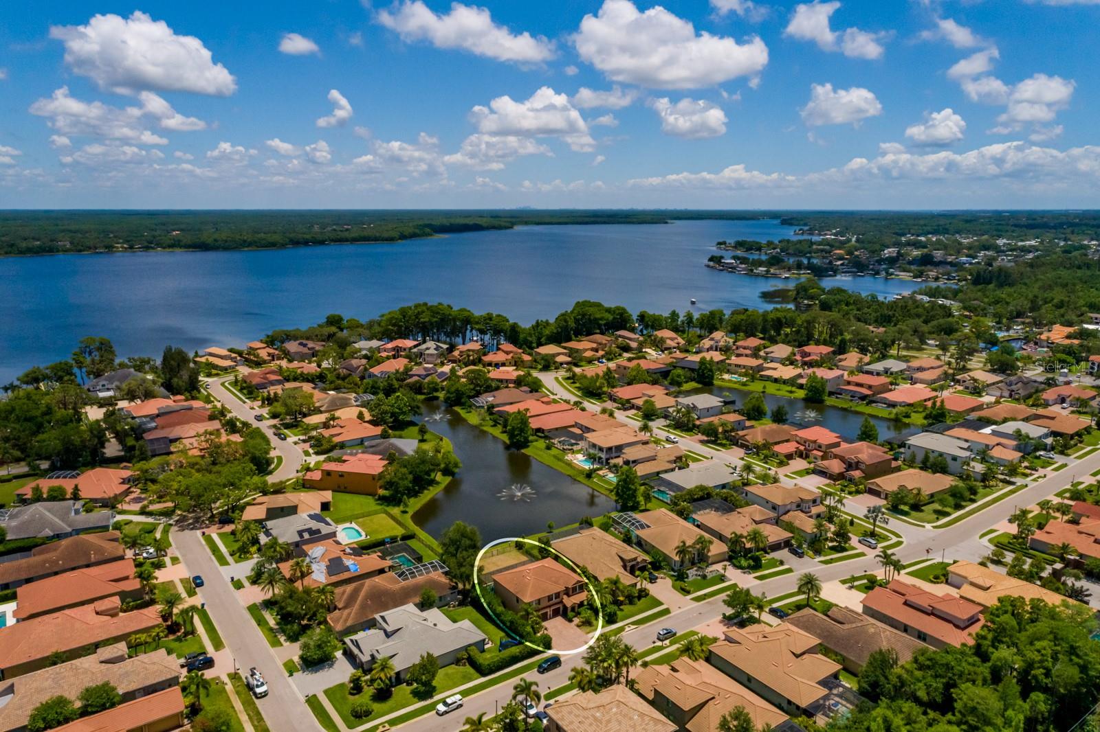 4611 GRAND PRESERVE PL, PALM HARBOR, FL — photo 3