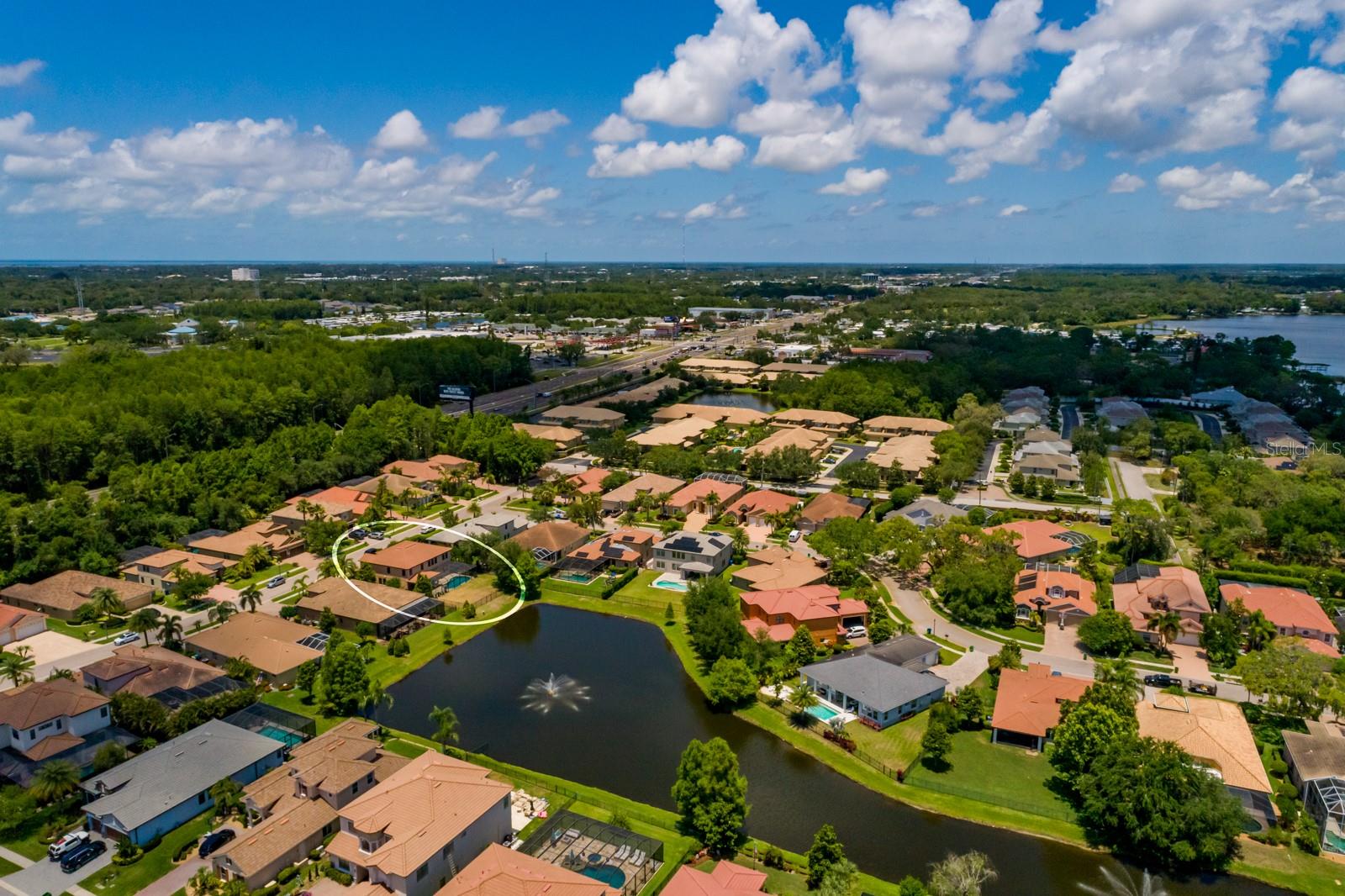 4611 GRAND PRESERVE PL, PALM HARBOR, FL — photo 4