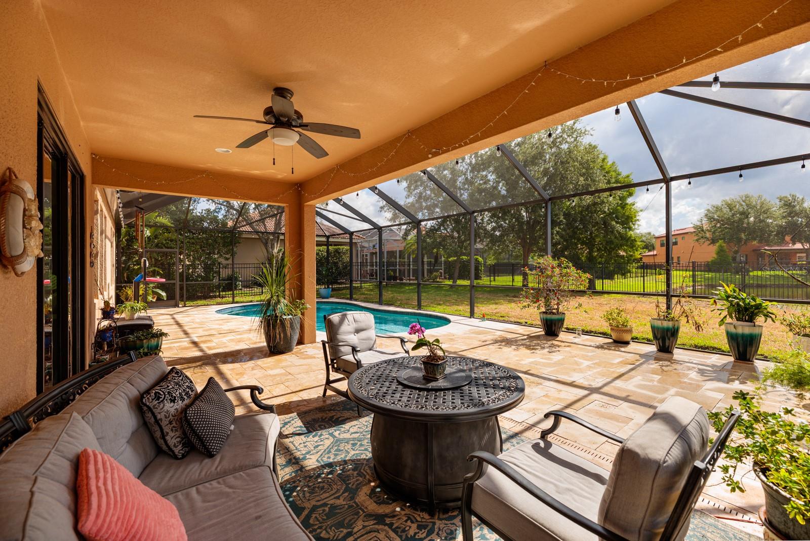 4611 GRAND PRESERVE PL, PALM HARBOR, FL — photo 39