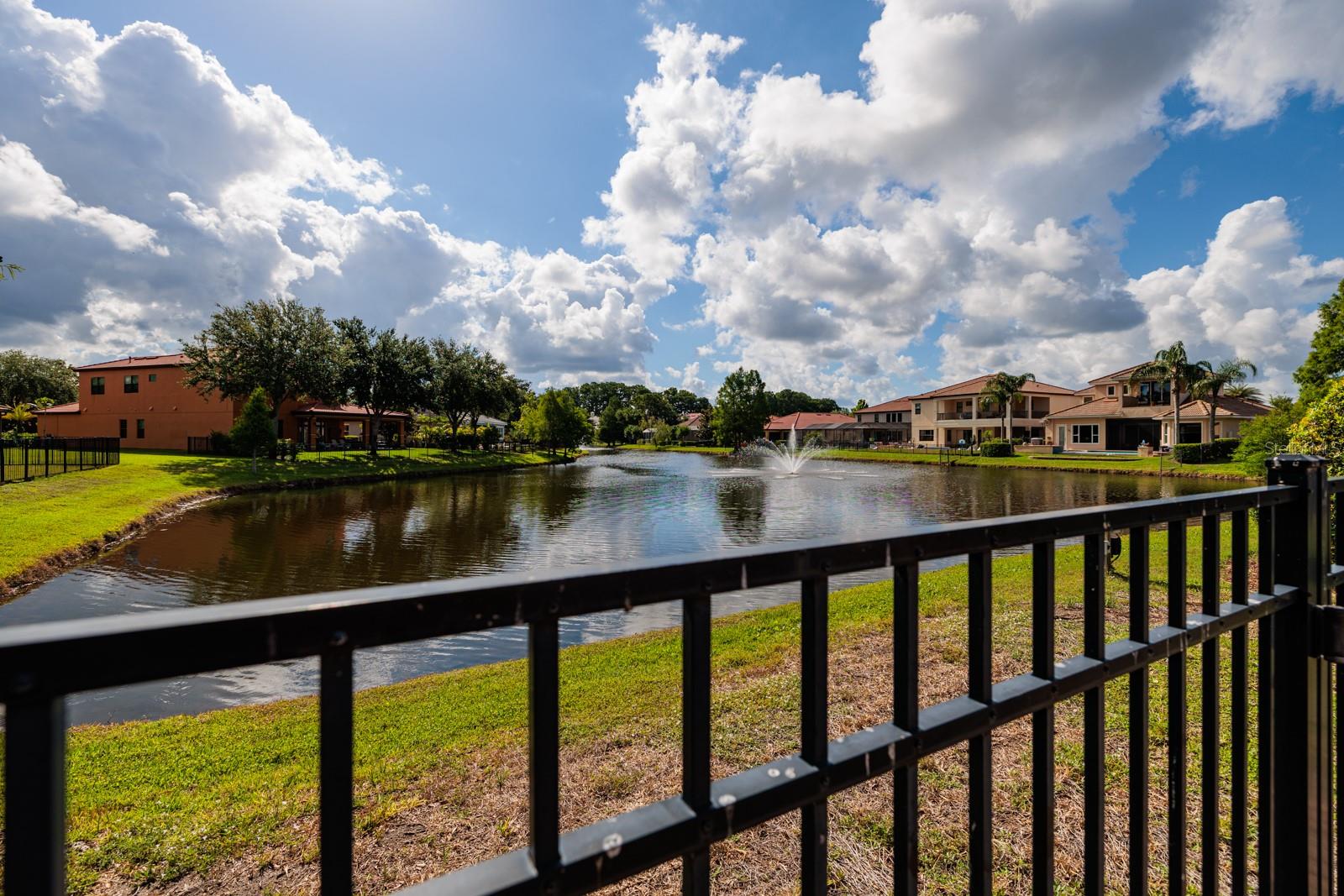 4611 GRAND PRESERVE PL, PALM HARBOR, FL — photo 47