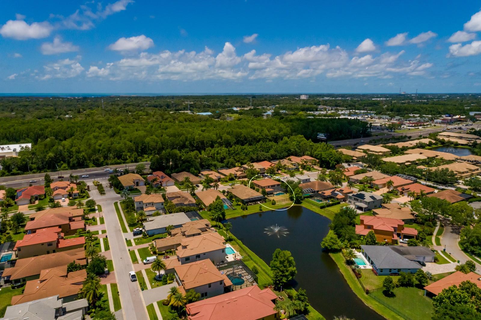 4611 GRAND PRESERVE PL, PALM HARBOR, FL — photo 55