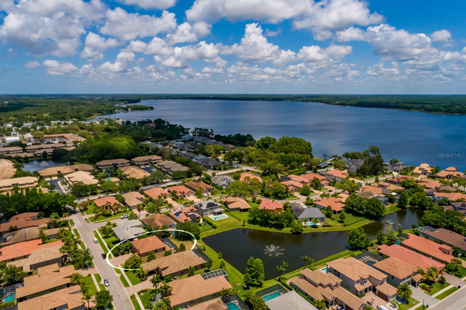 4611 GRAND PRESERVE PL, PALM HARBOR, FL — photo 57