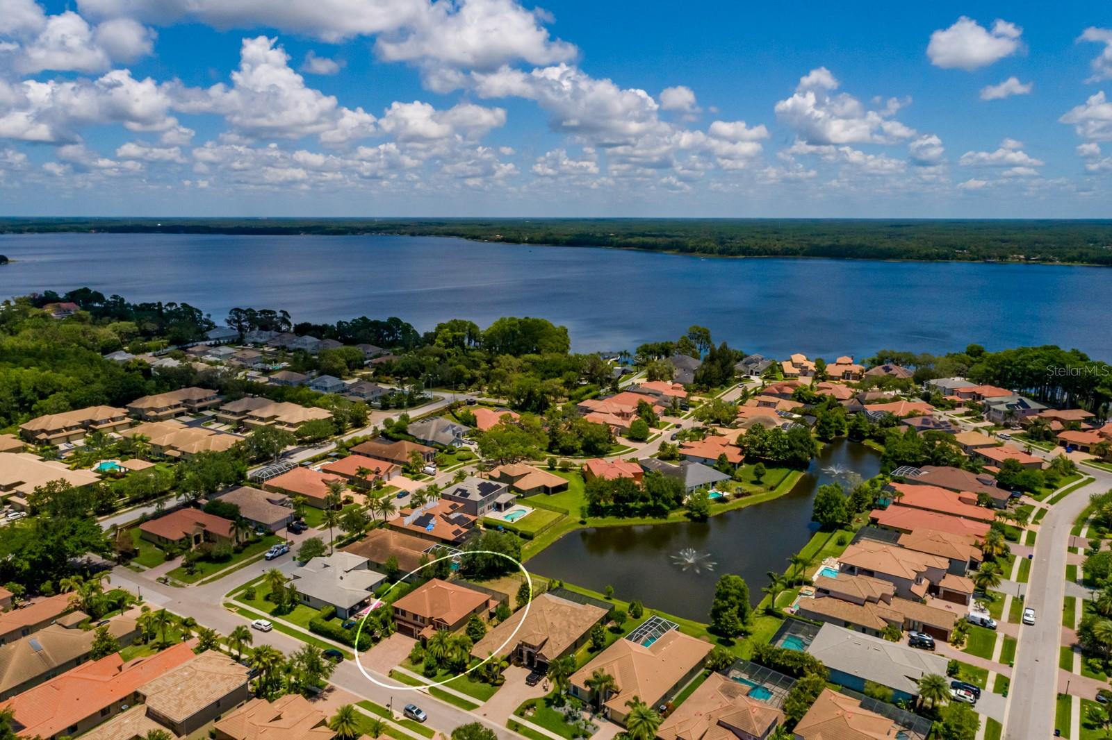 4611 GRAND PRESERVE PL, PALM HARBOR, FL — photo 58