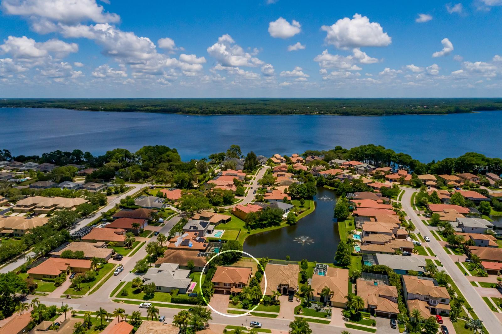 4611 GRAND PRESERVE PL, PALM HARBOR, FL — photo 59