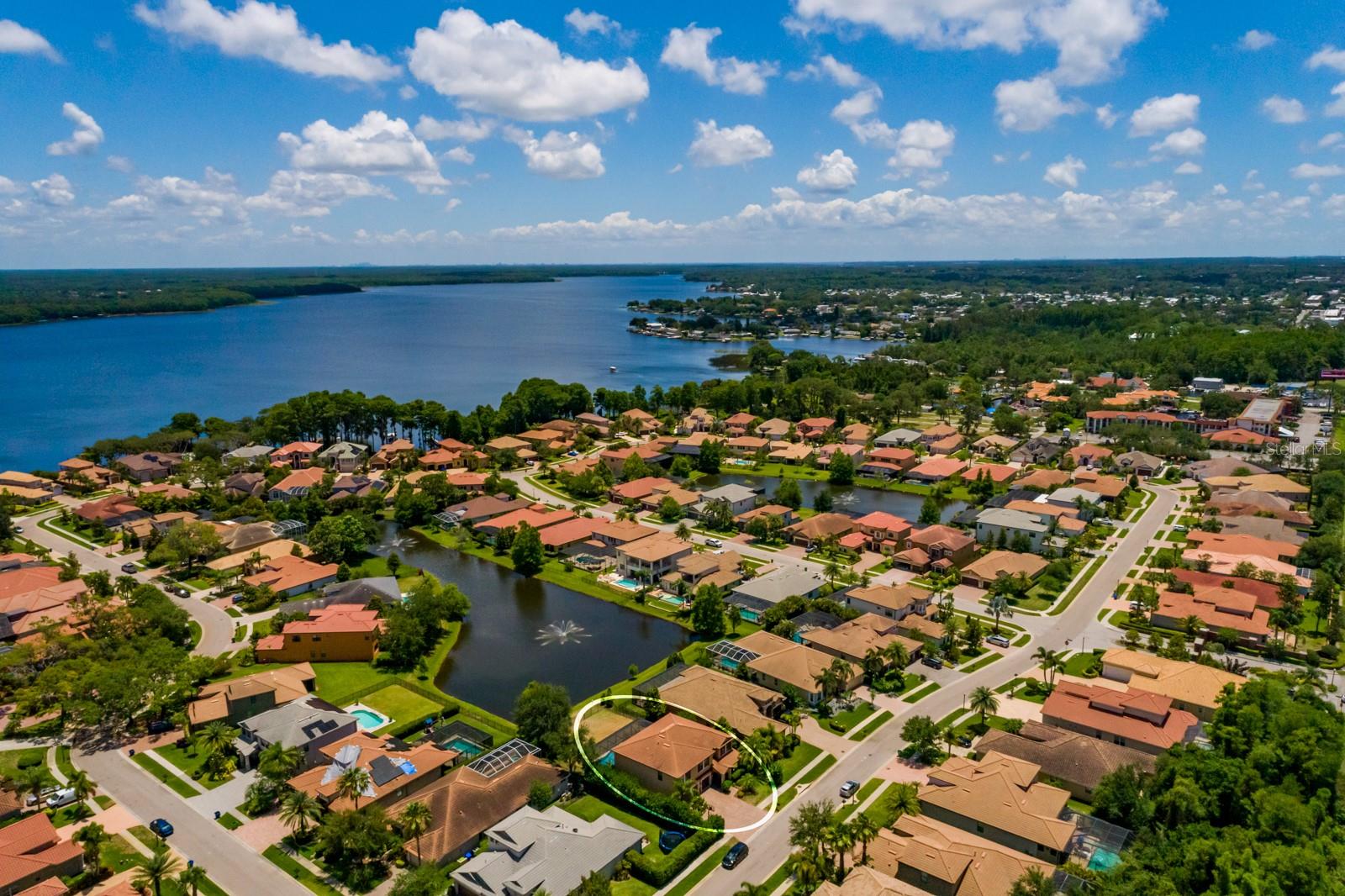 4611 GRAND PRESERVE PL, PALM HARBOR, FL — photo 62