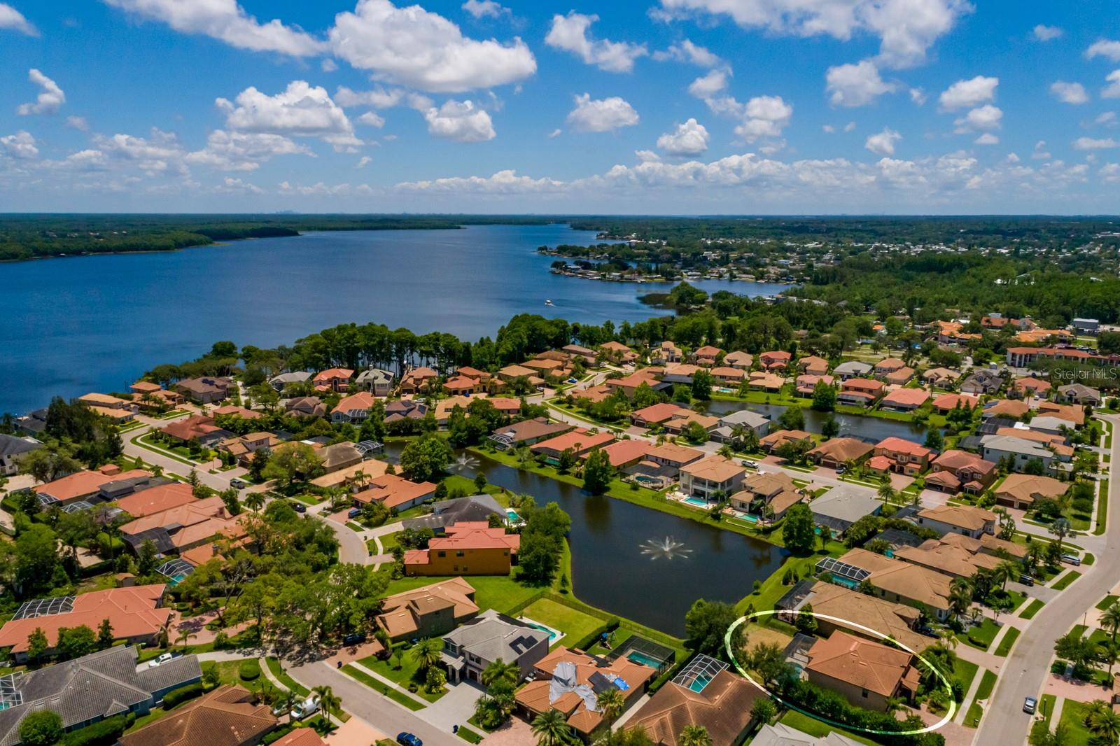 4611 GRAND PRESERVE PL, PALM HARBOR, FL — photo 63