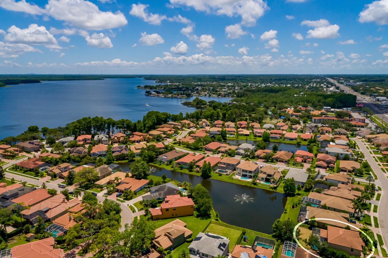 4611 GRAND PRESERVE PL, PALM HARBOR, FL — photo 64