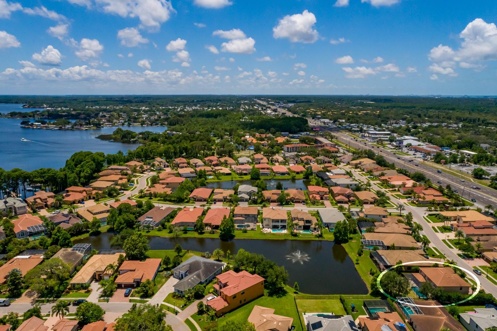 4611 GRAND PRESERVE PL, PALM HARBOR, FL — photo 65