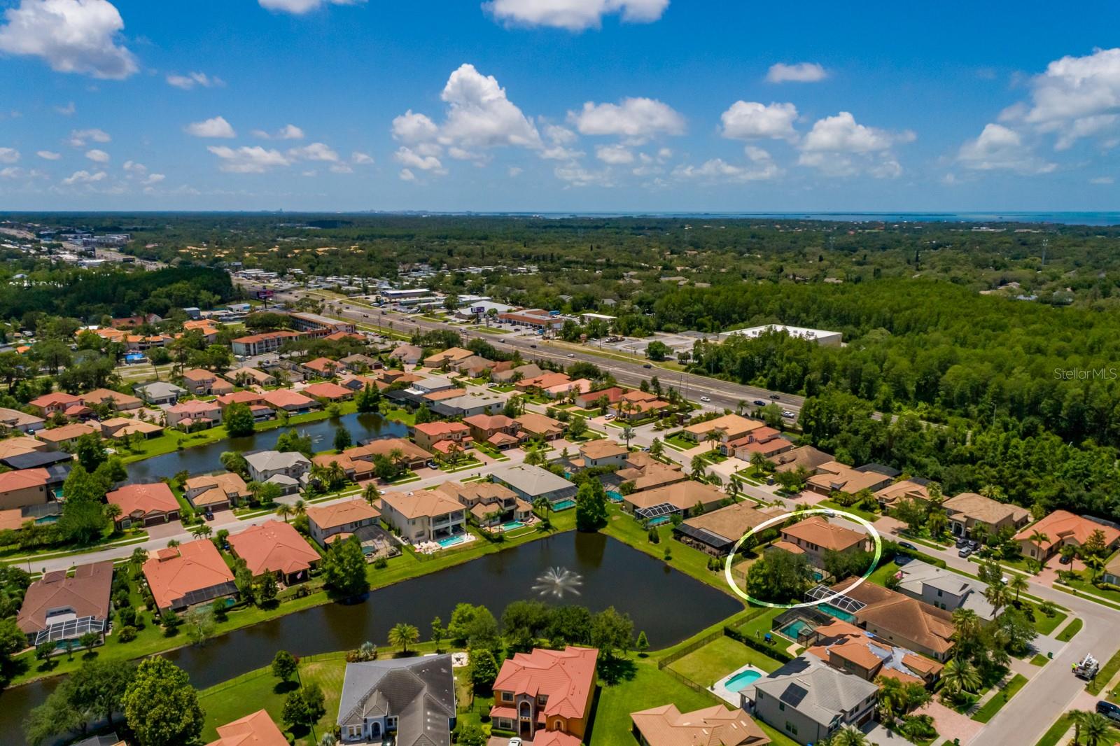 4611 GRAND PRESERVE PL, PALM HARBOR, FL — photo 66