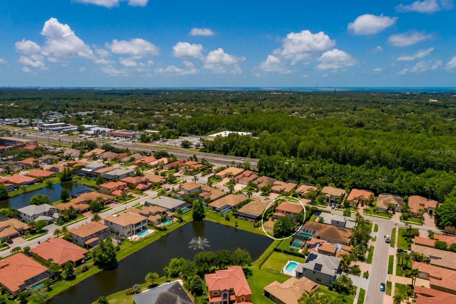 4611 GRAND PRESERVE PL, PALM HARBOR, FL — photo 67