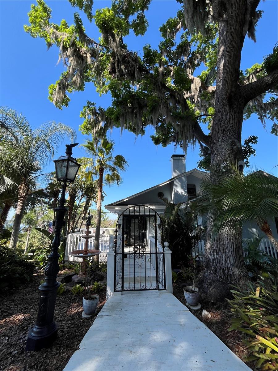 629 HELEN ST, MOUNT DORA, FL — photo 7