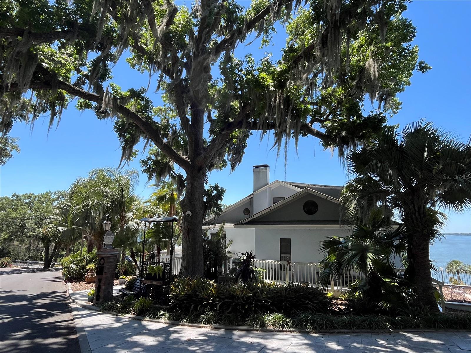 629 HELEN ST, MOUNT DORA, FL — photo 9