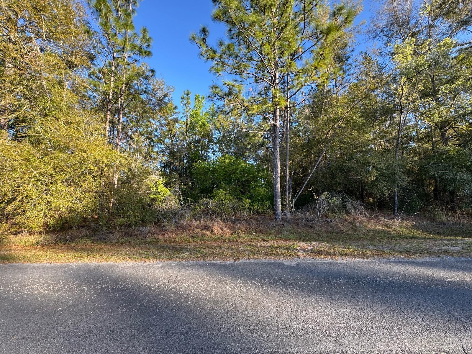 7898 N POCONO DR, CITRUS SPRINGS, FL
