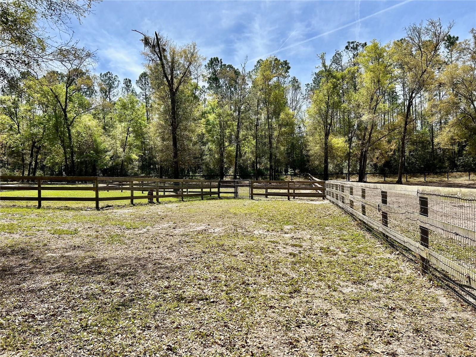9290 NW 125TH AVE, OCALA, FL — photo 16