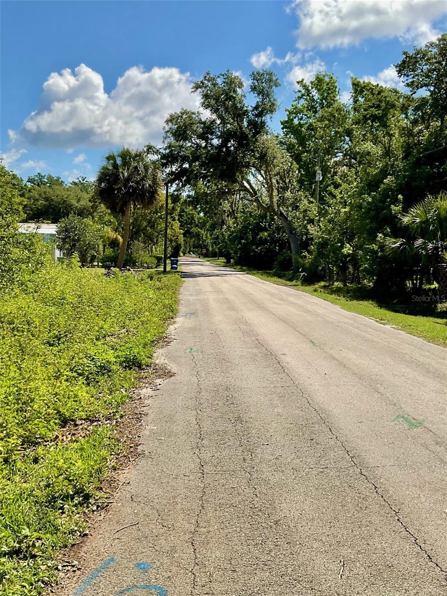 PAIGE AVE, NEW SMYRNA BEACH, FL — photo 7