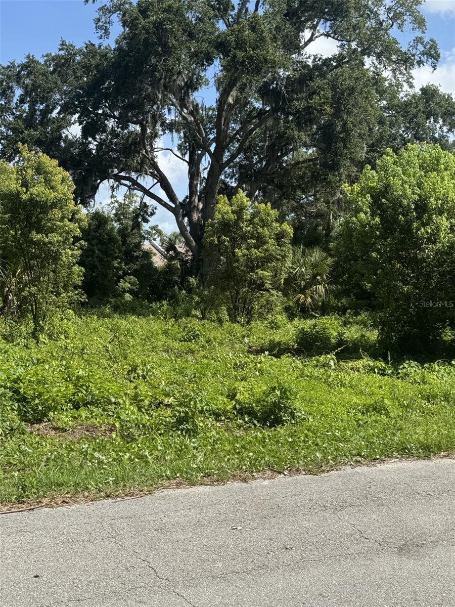 PAIGE AVE, NEW SMYRNA BEACH, FL — photo 2