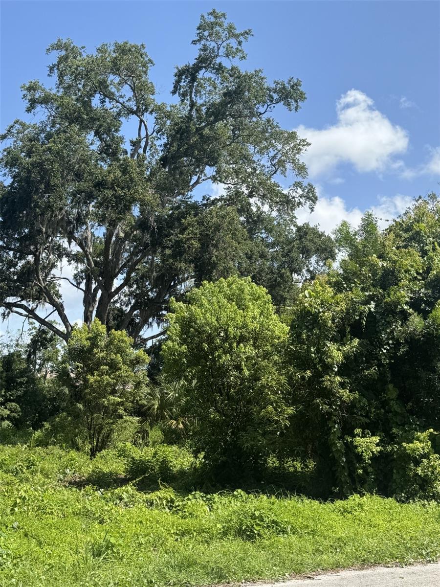 PAIGE AVE, NEW SMYRNA BEACH, FL — photo 4