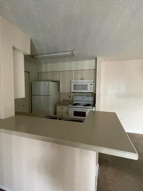 1221 BERMUDA LAKES LN #202, KISSIMMEE, FL — photo 4