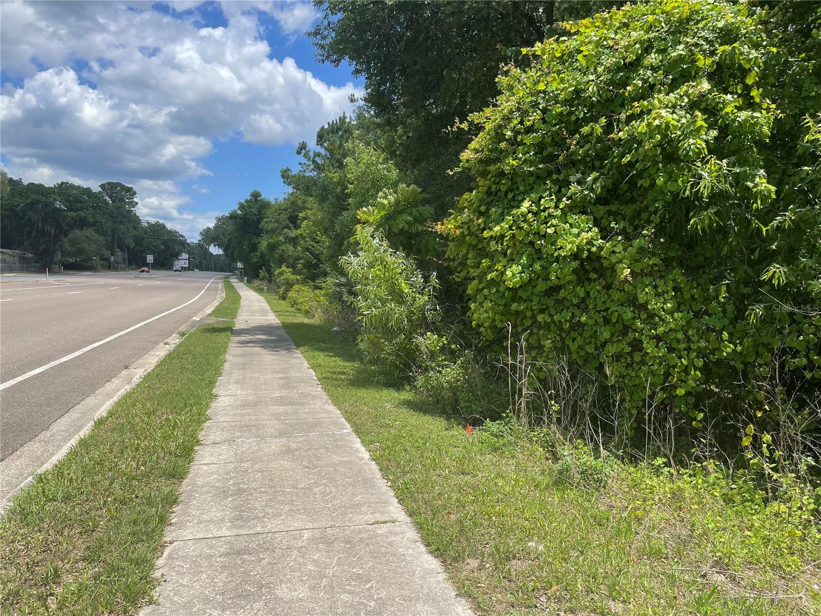 000 SE HAWTHORNE RD, HAWTHORNE, FL — photo 5