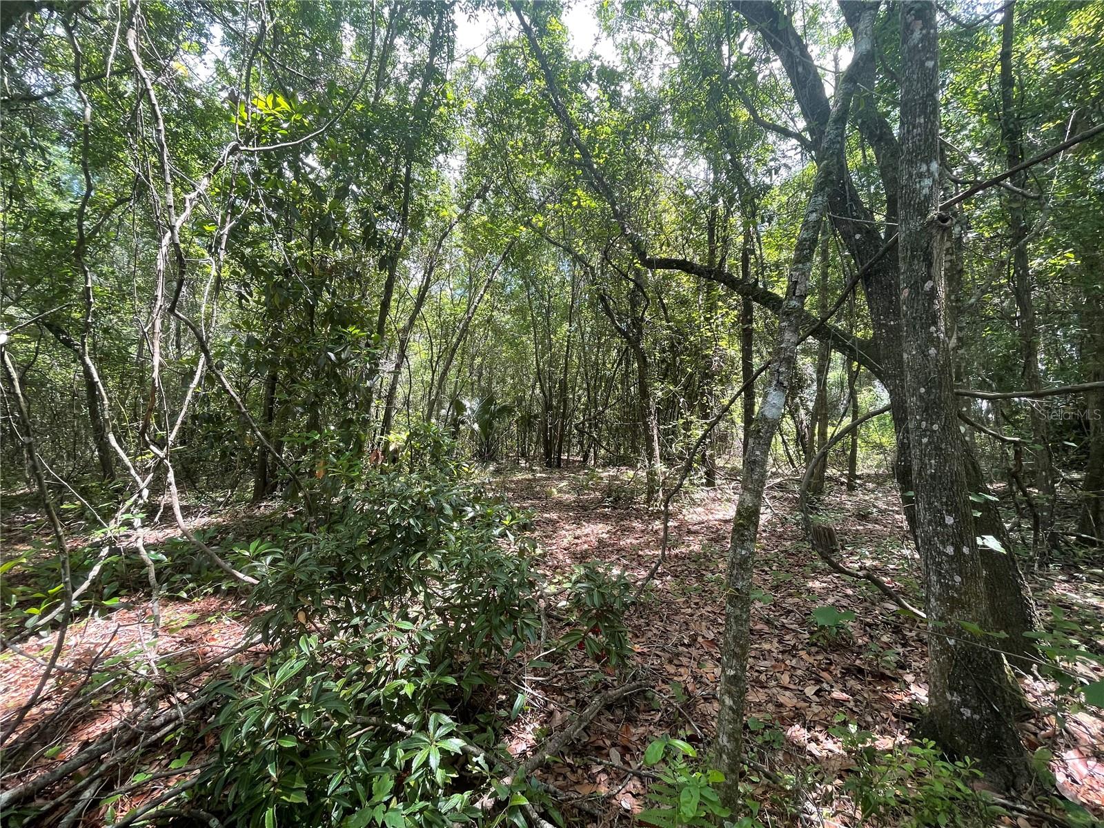 000 SE HAWTHORNE RD, HAWTHORNE, FL — photo 9