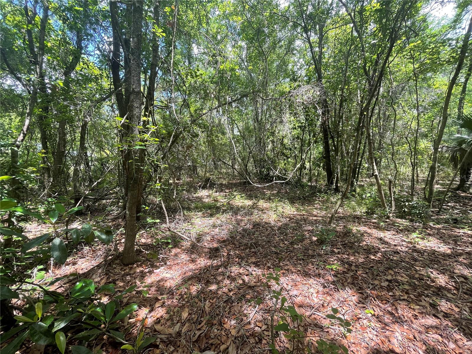 000 SE HAWTHORNE RD, HAWTHORNE, FL — photo 10