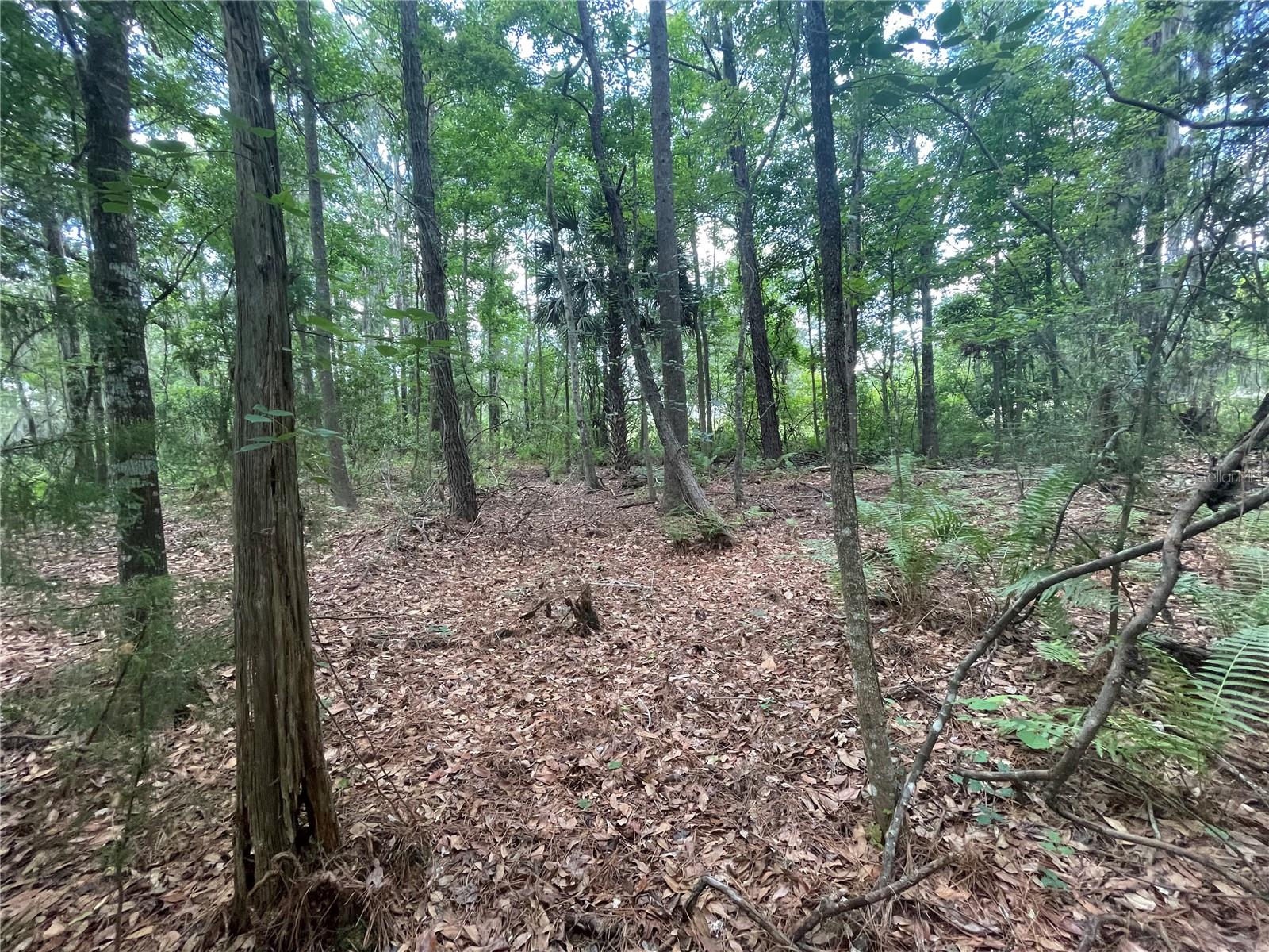 000 SE HAWTHORNE RD, HAWTHORNE, FL — photo 12