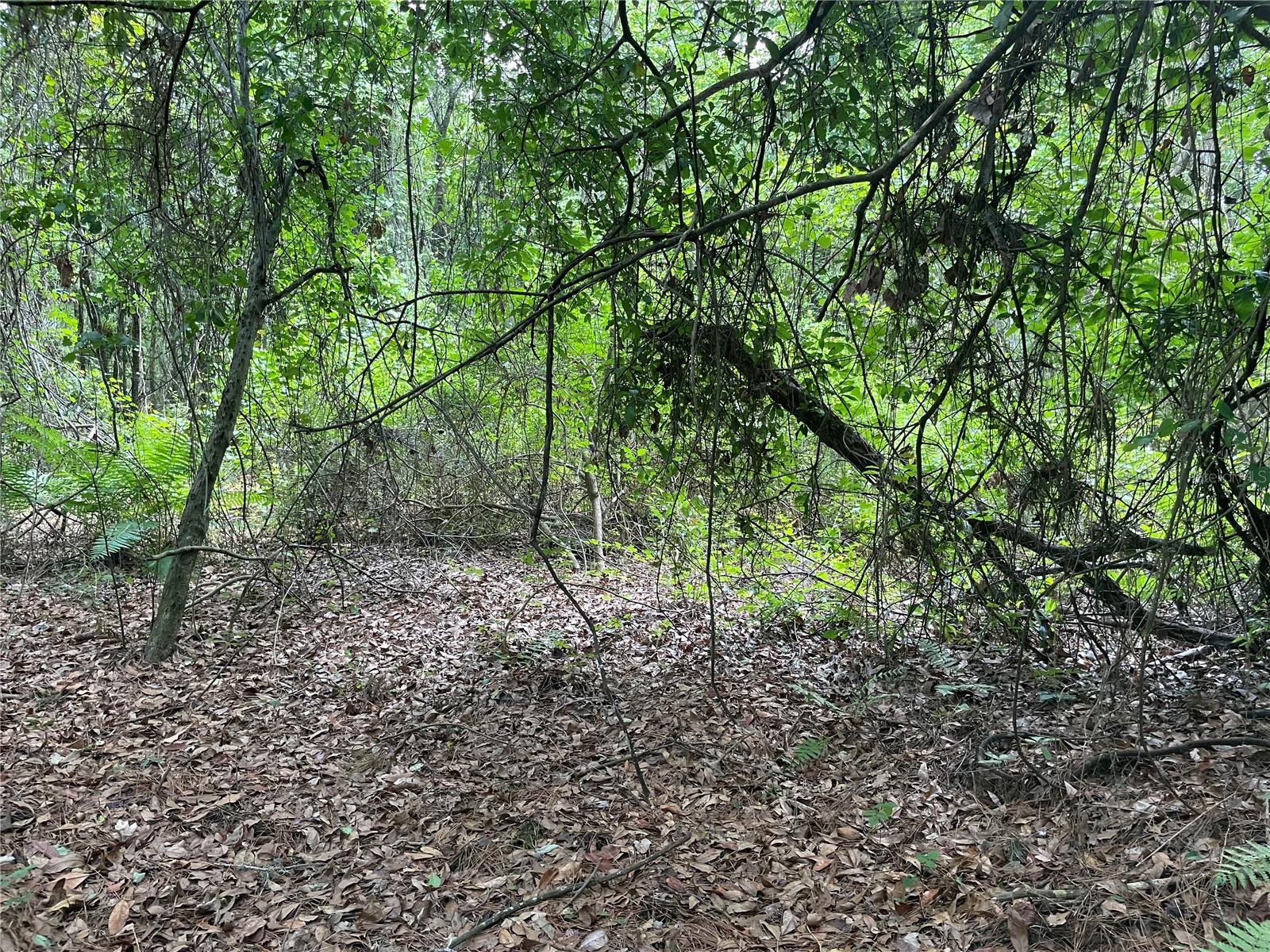 000 SE HAWTHORNE RD, HAWTHORNE, FL — photo 16