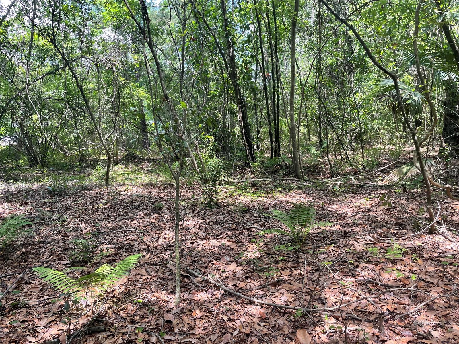 000 SE HAWTHORNE RD, HAWTHORNE, FL — photo 18