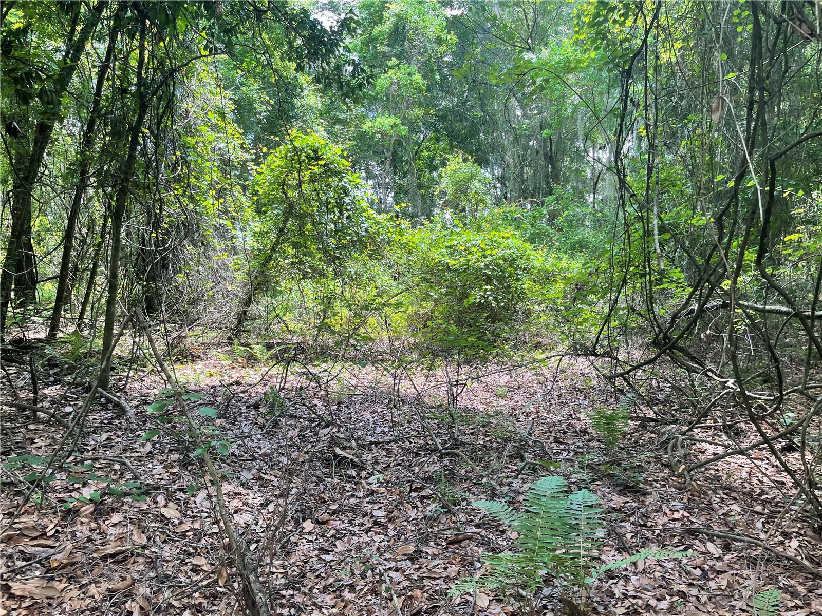 000 SE HAWTHORNE RD, HAWTHORNE, FL — photo 19