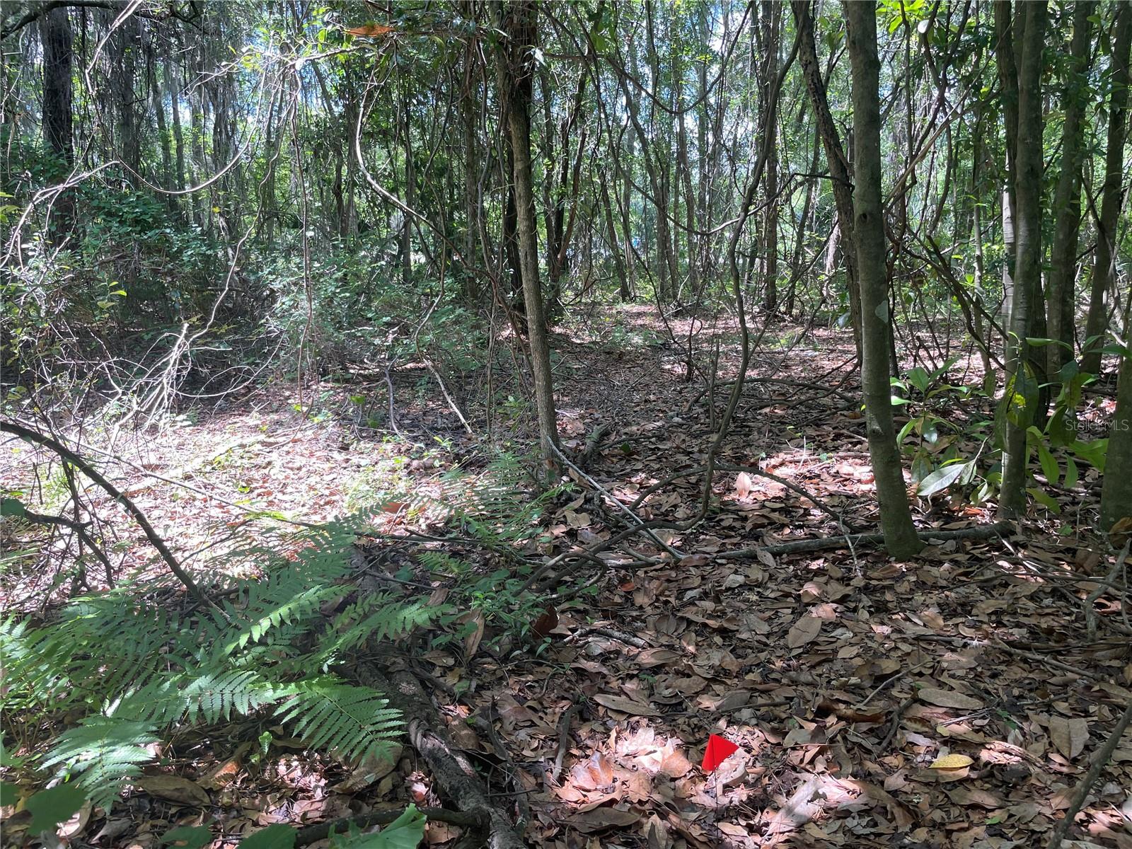 000 SE HAWTHORNE RD, HAWTHORNE, FL — photo 20