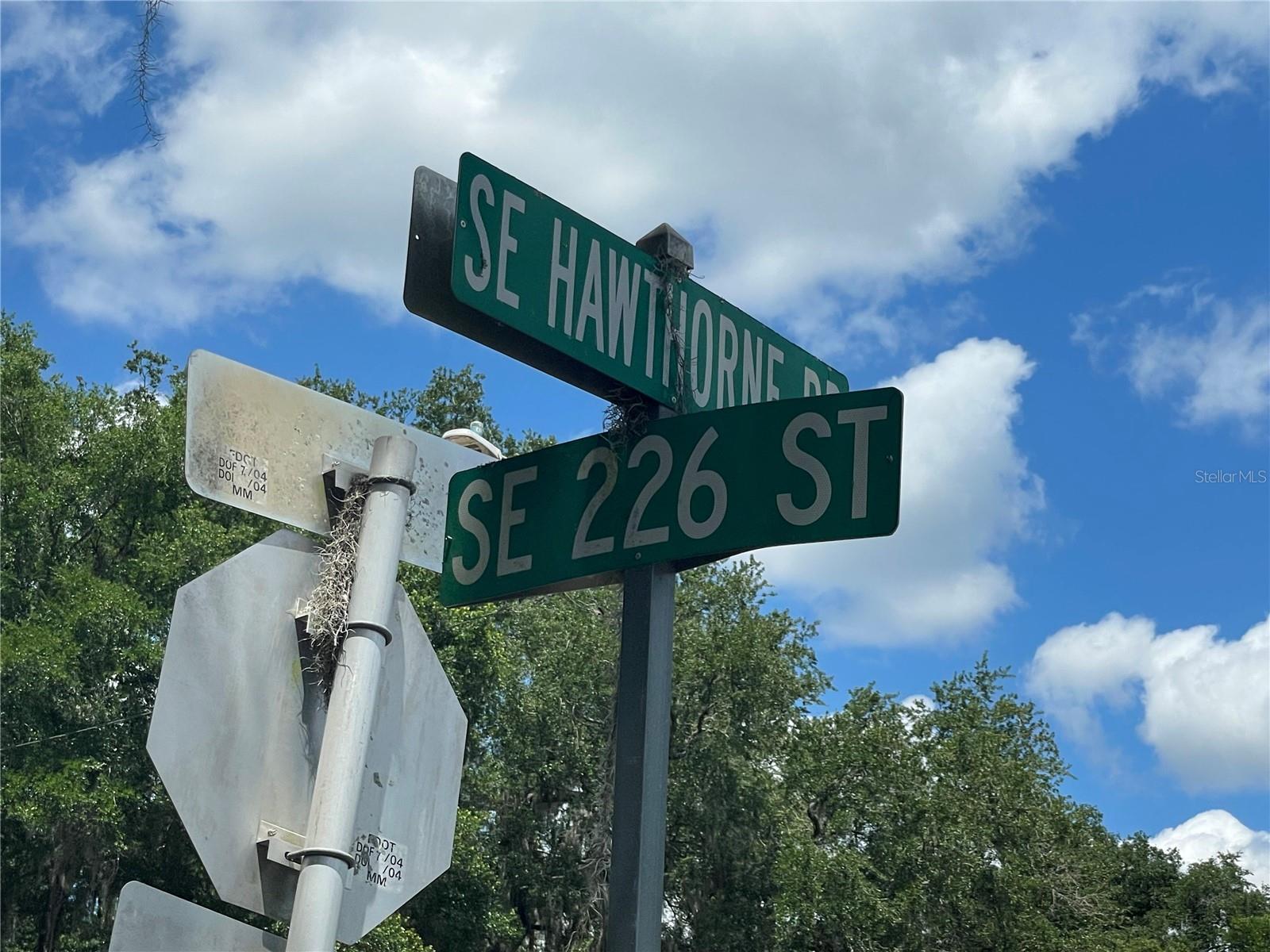 000 SE HAWTHORNE RD, HAWTHORNE, FL — photo 29
