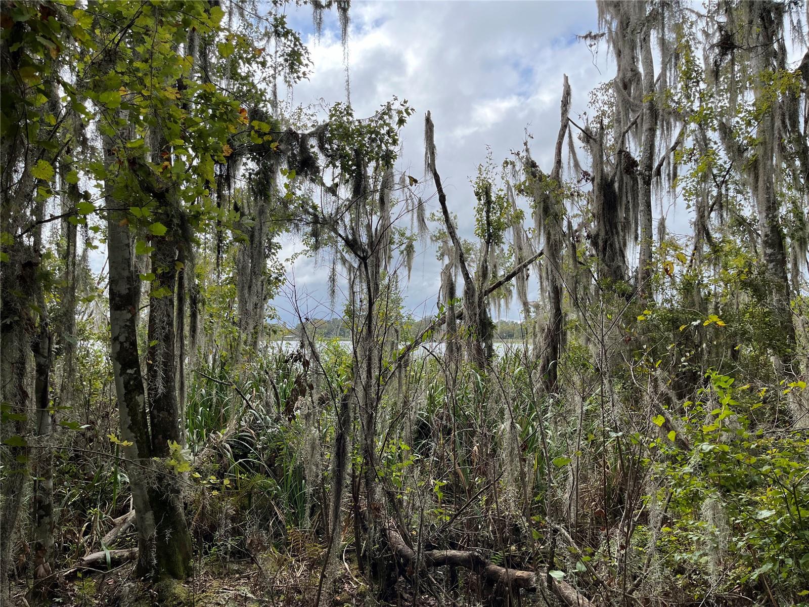 000 SE HAWTHORNE RD, HAWTHORNE, FL