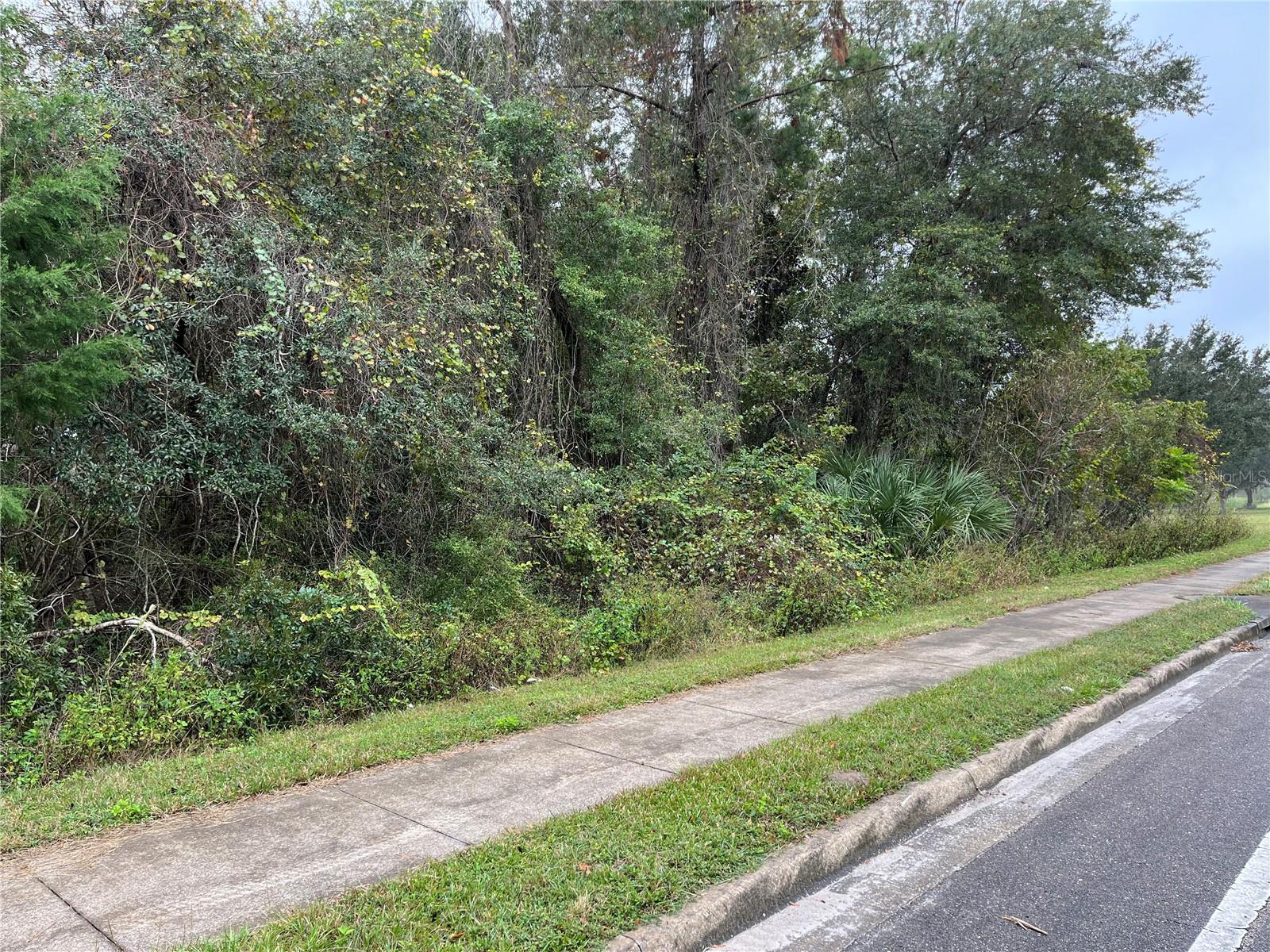 000 SE HAWTHORNE RD, HAWTHORNE, FL — photo 3