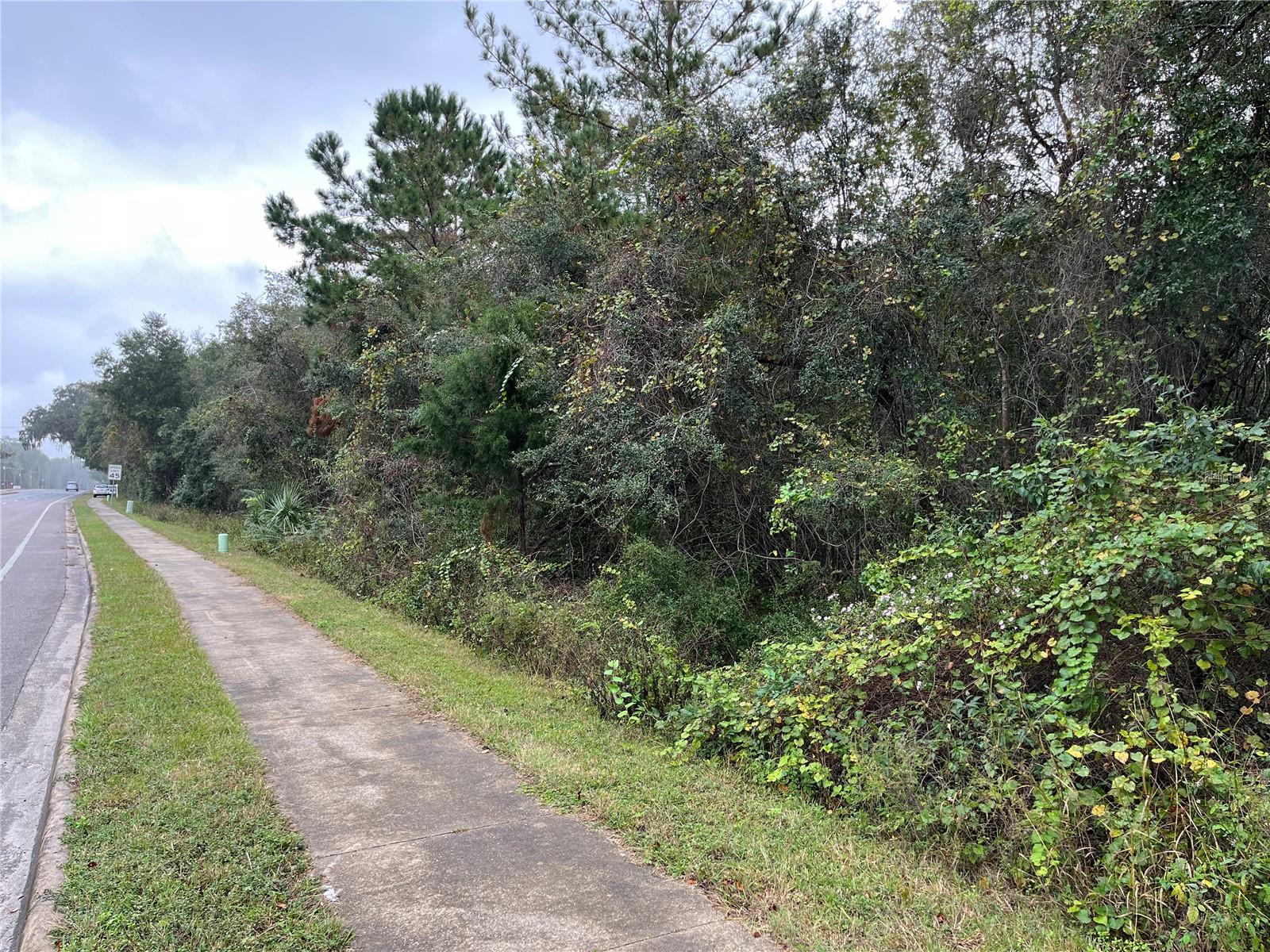 000 SE HAWTHORNE RD, HAWTHORNE, FL — photo 4