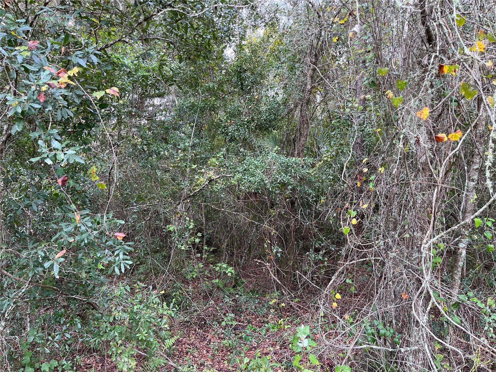 000 SE HAWTHORNE RD, HAWTHORNE, FL — photo 23