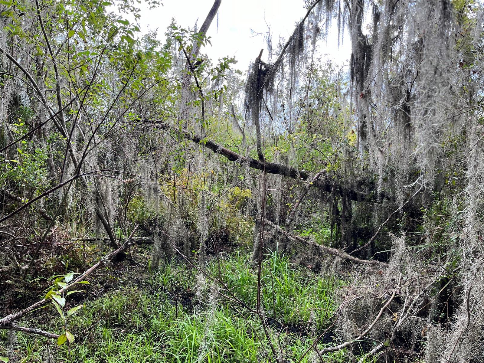 000 SE HAWTHORNE RD, HAWTHORNE, FL — photo 25