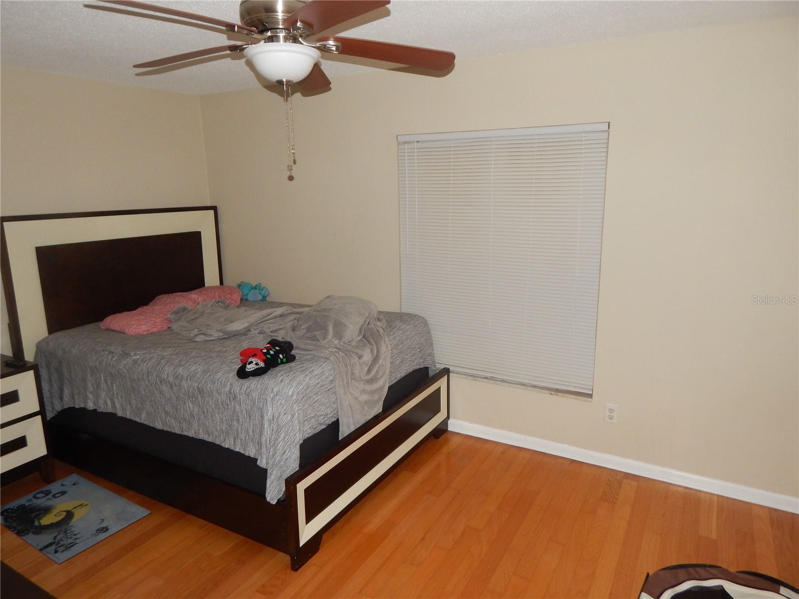 3509 LISA LN, LAKELAND, FL — photo 9